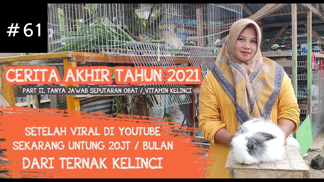 IRT SUKSES TERNAK KELINCI PART II, SETELAH VIRAL DI YOUTUBE PENGHASILAN KINI MENCAPAI 20JT/BULAN