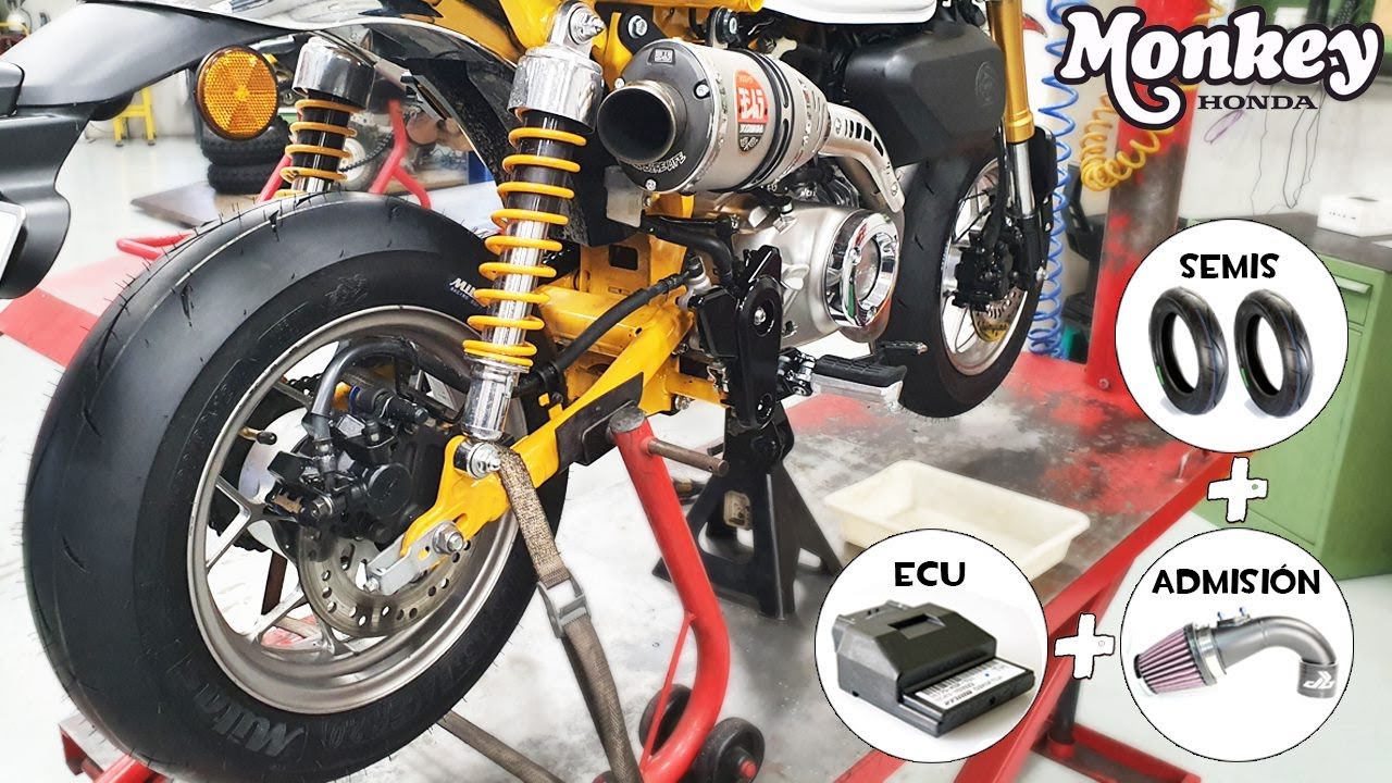 Honda Monkey 125! | ECU + Admisión + SemiSlicks | KikeGTR