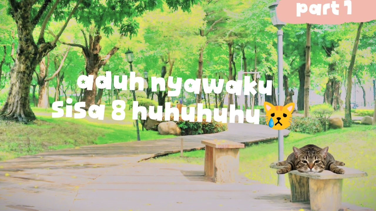 Meme kucing judulnya:9 nyawa