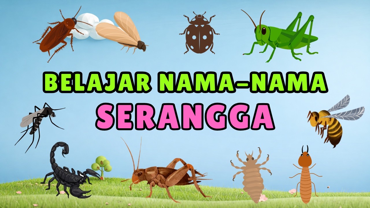 BELAJAR NAMA-NAMA SERANGGA | Balita dan PAUD | Bahasa Indonesia #abcd #belajaranak #serangga