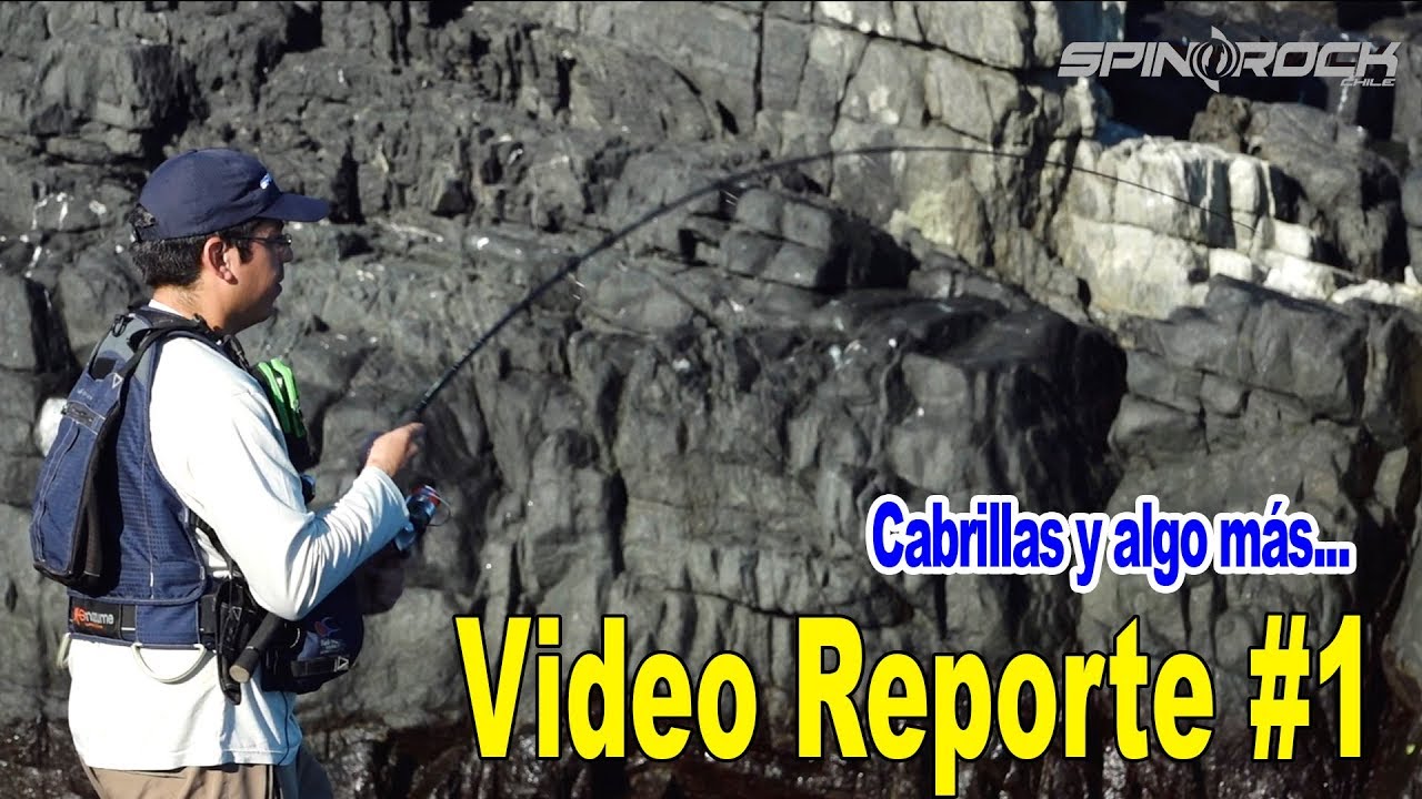 Pesca de Cabrillas y algo más en Bahía Inglesa [Vídeo Reporte #1] SpinRock