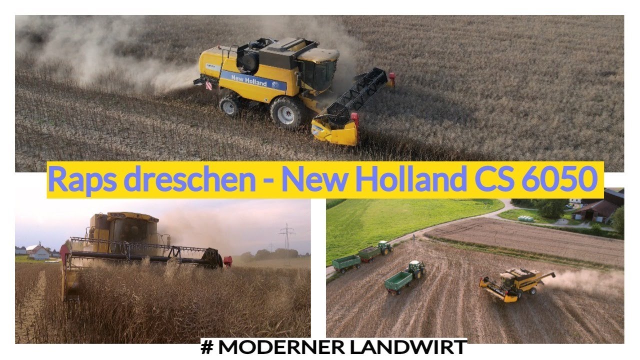 Raps dreschen - New Holland CS 6050 Mähdrescher / Unwetter / Gewitter