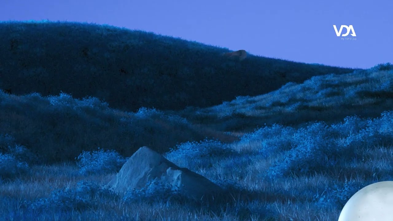 DANIELE DI DONATO   The Moon has fallen, 2025, grafica 3D