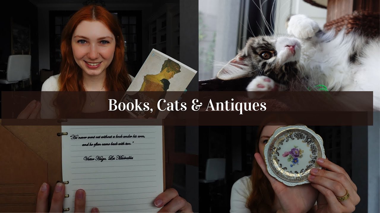 Bookish talk, antique china & a new little kitty!