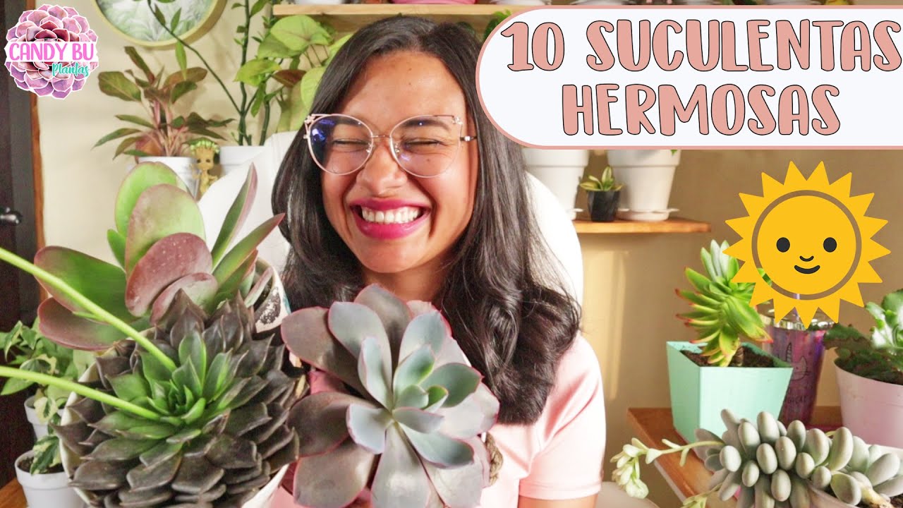 10 SUCULENTAS QUE CAMBIAN DE COLOR│Candy Bu