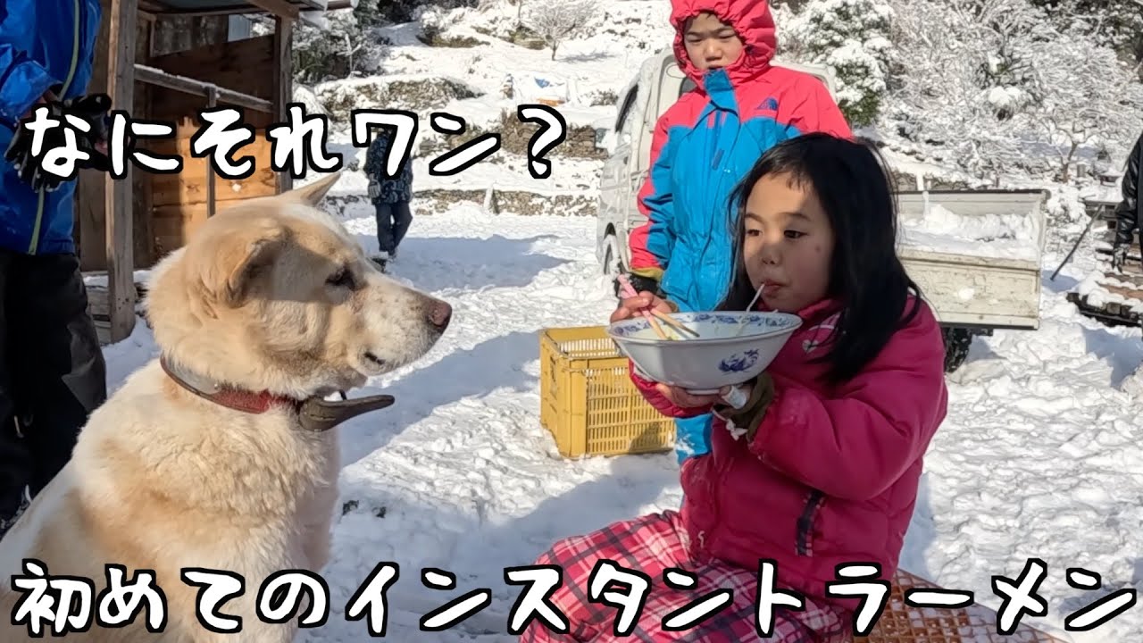 初めてのインスタントラーメン!?#304【かまくら作って遊んだ日】【音声修正済み】【再配信】