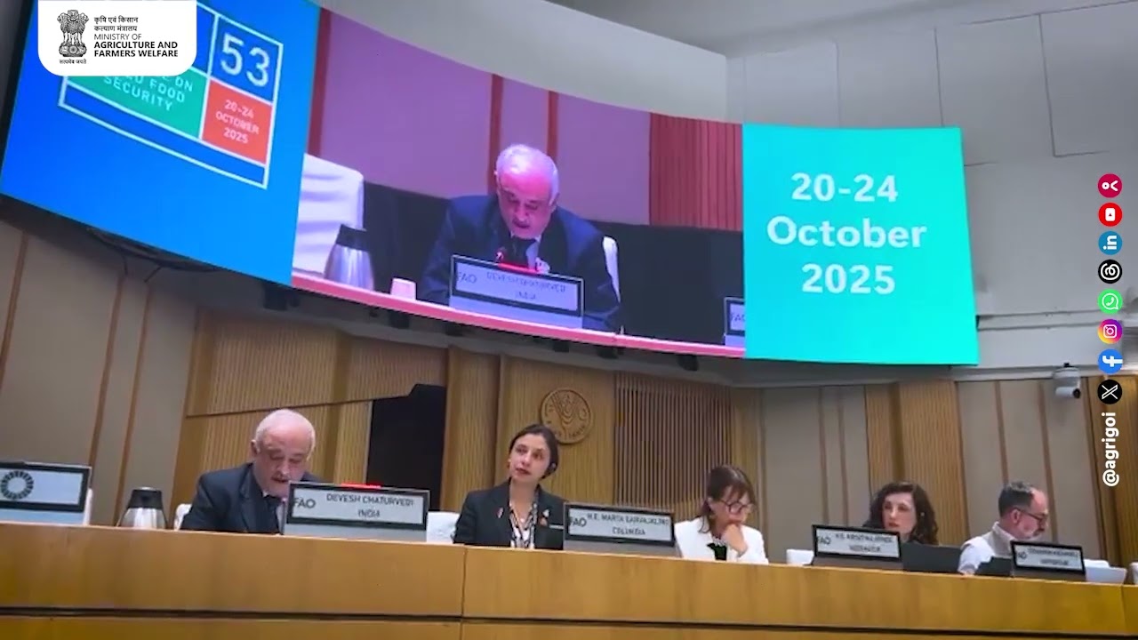 the Committee on World Food Security