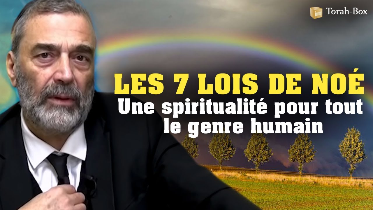 LES 7 LOIS DE NOÉ 🌈 UNE SPIRITUALITÉ POUR TOUT LE GENRE HUMAIN (Rav Sadin)