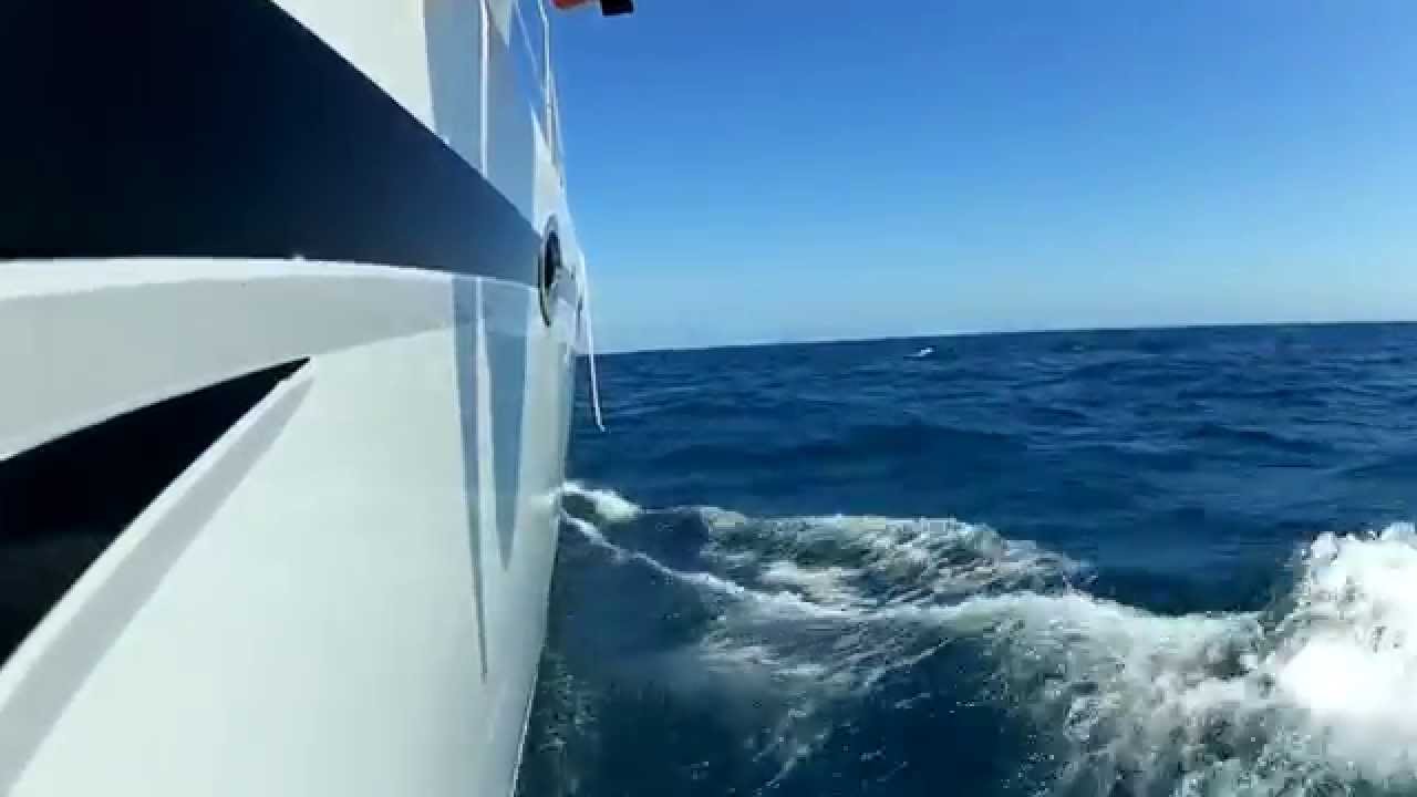 Fusion 40 Bundy to Brissy