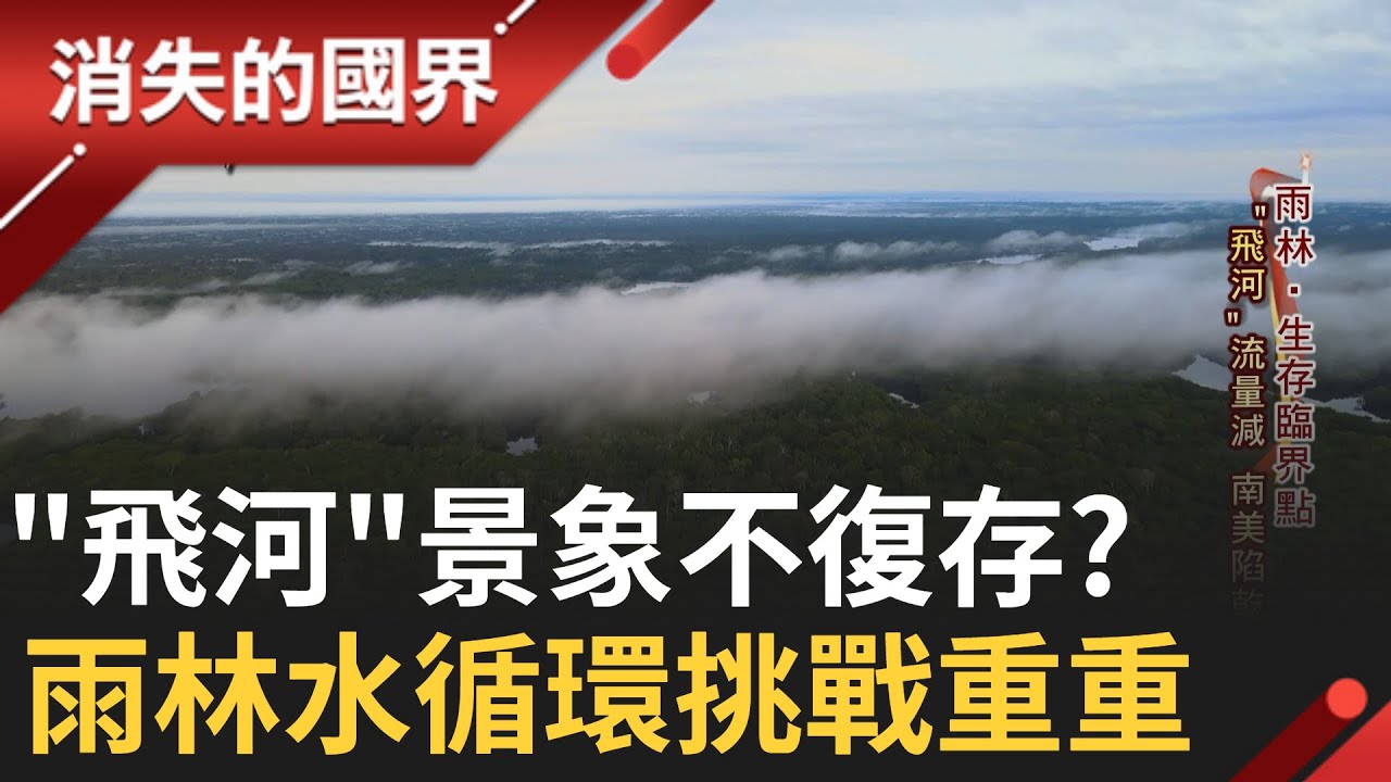 SUB｜ 亞馬遜雨林破壞導致