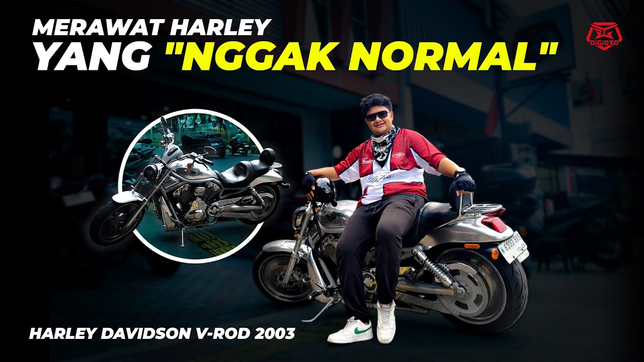 WAJIB NONTON! KAMI KEDATANGAN MOGE ISTIMEWA | HARLEY-DAVIDSON V-ROD 2003