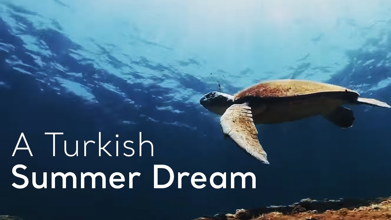 A Turkish Summer Dream | Go T&uuml;rkiye