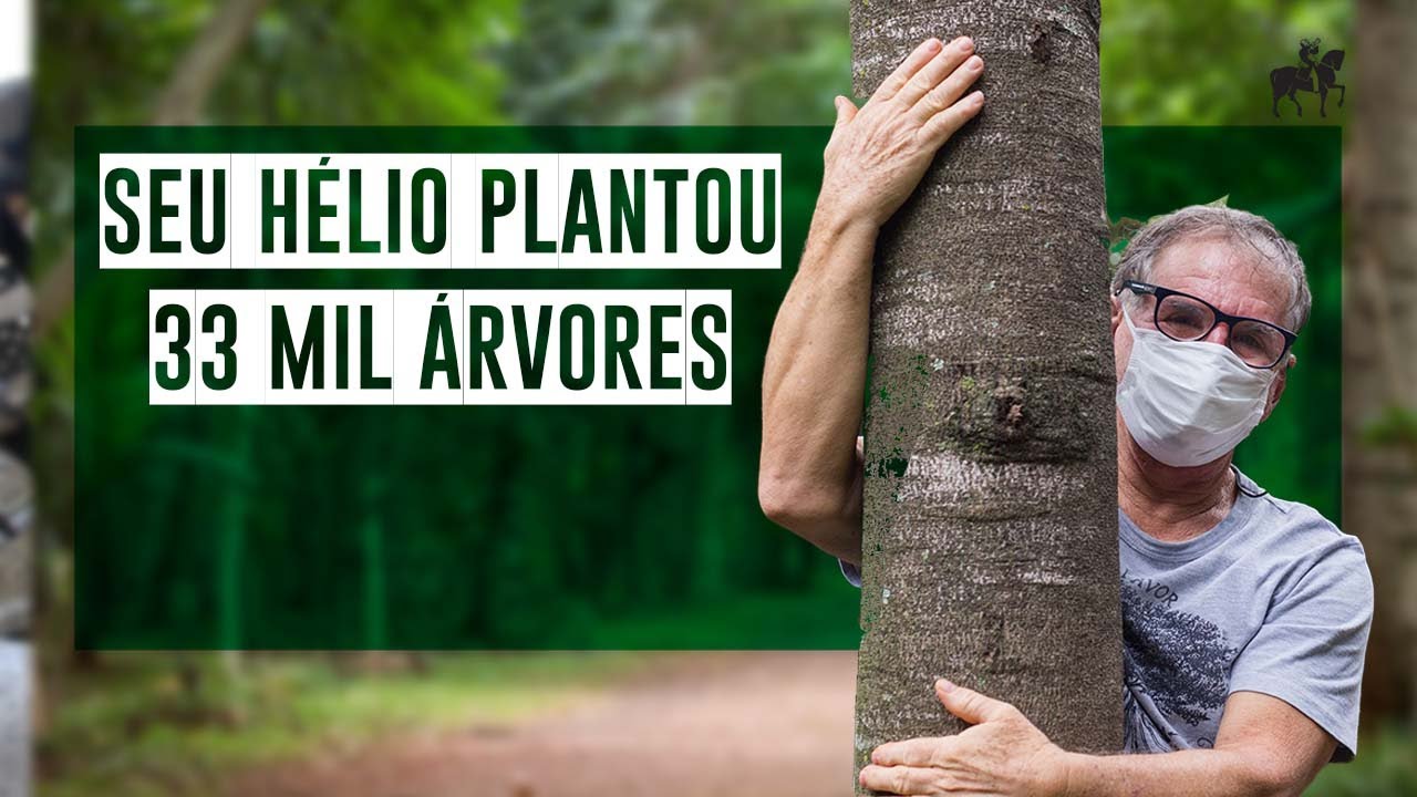 Conheça seu Hélio, o plantador de 33 mil árvores em São Paulo