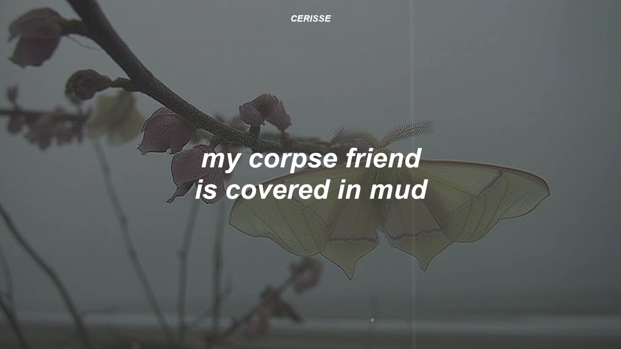 My Corpse Friend - Baby Bugs (Lyrics)
