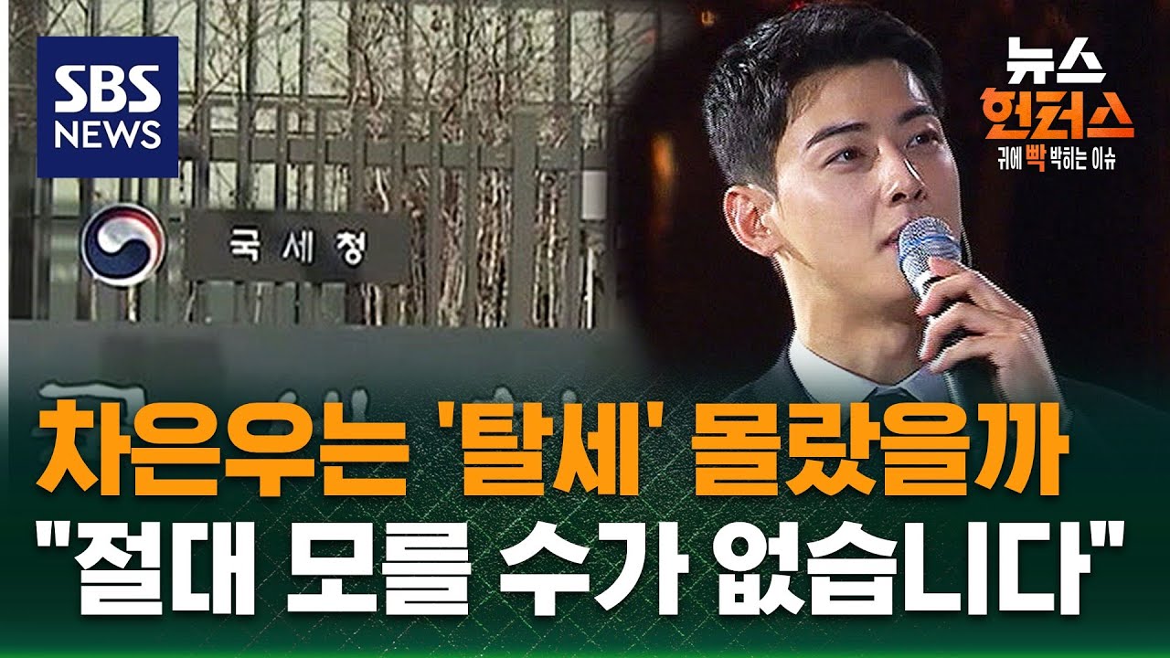 [이슈빡] '엄마 법인'의 실체…차은우, 조직적 탈세? / SBS / 뉴스헌터스