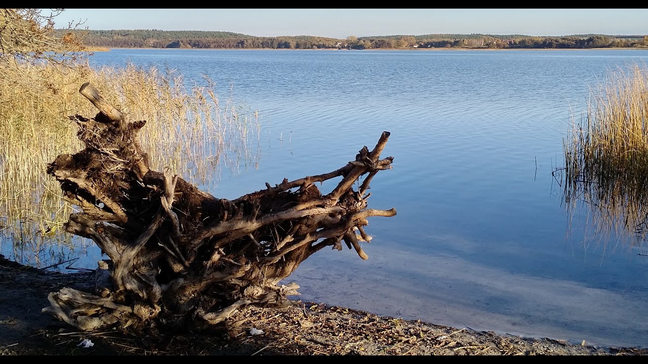 Die Natur rund um den Inselsee bei G&uuml;strow