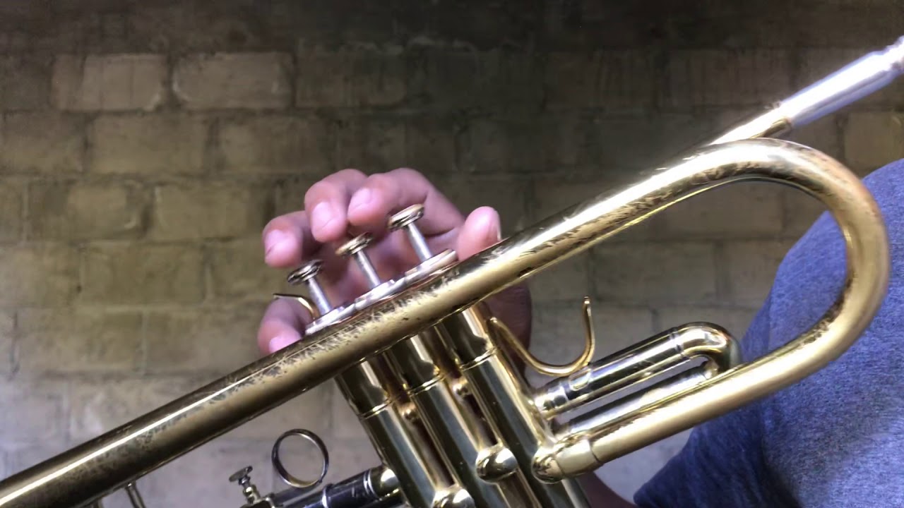 “LA BASURITA TUTORIAL DE TROMPETA”