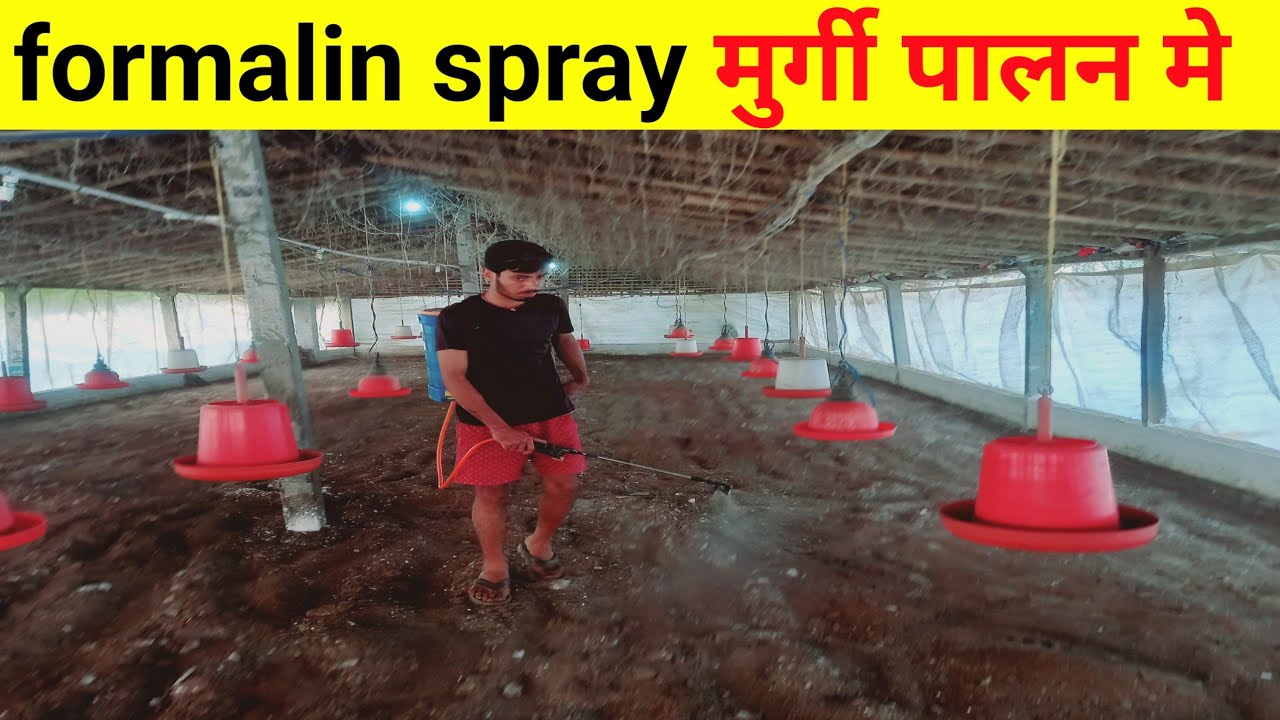 Use of formalin in poultry farm, formalin kaha milega#पोल्ट्री फॉर्म में फोर्मलिन का उपयोग