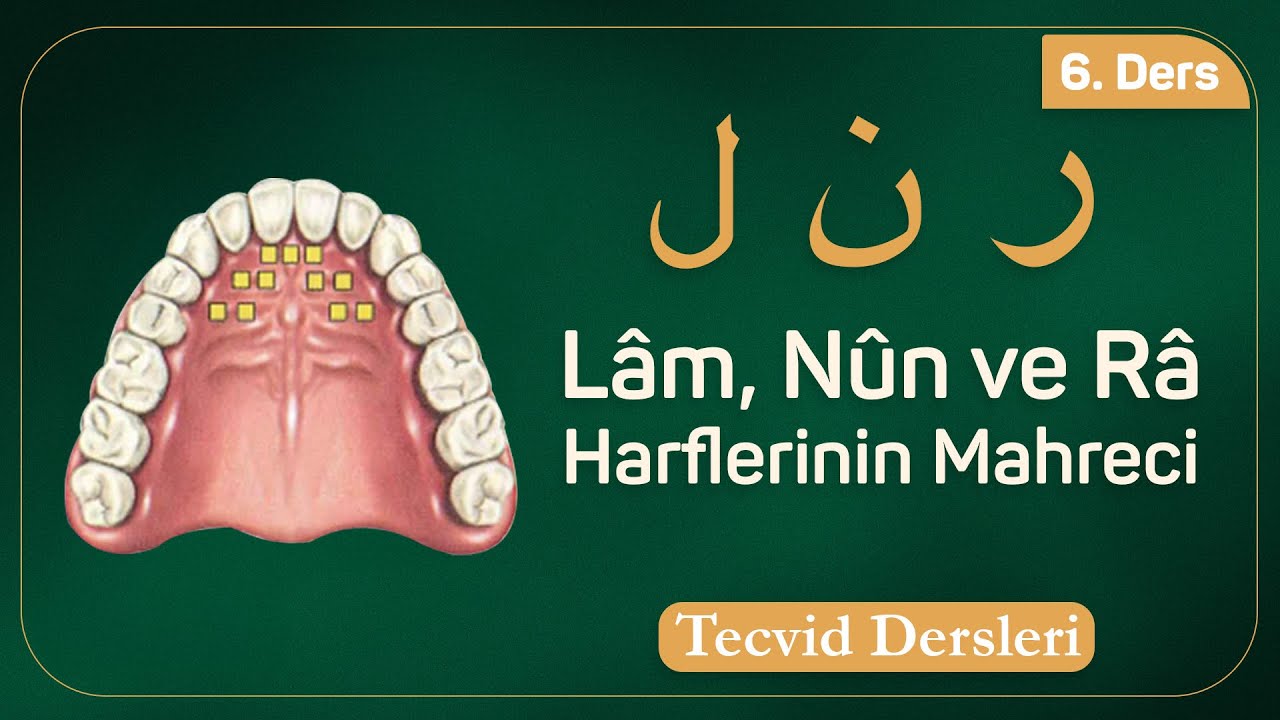 Lâm, Nûn ve Râ Harflerinin Mahreci | Tecvid Dersleri 6