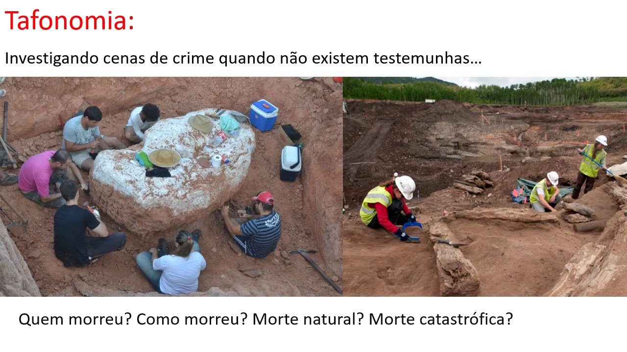 Aula 3 - Tafonomia
