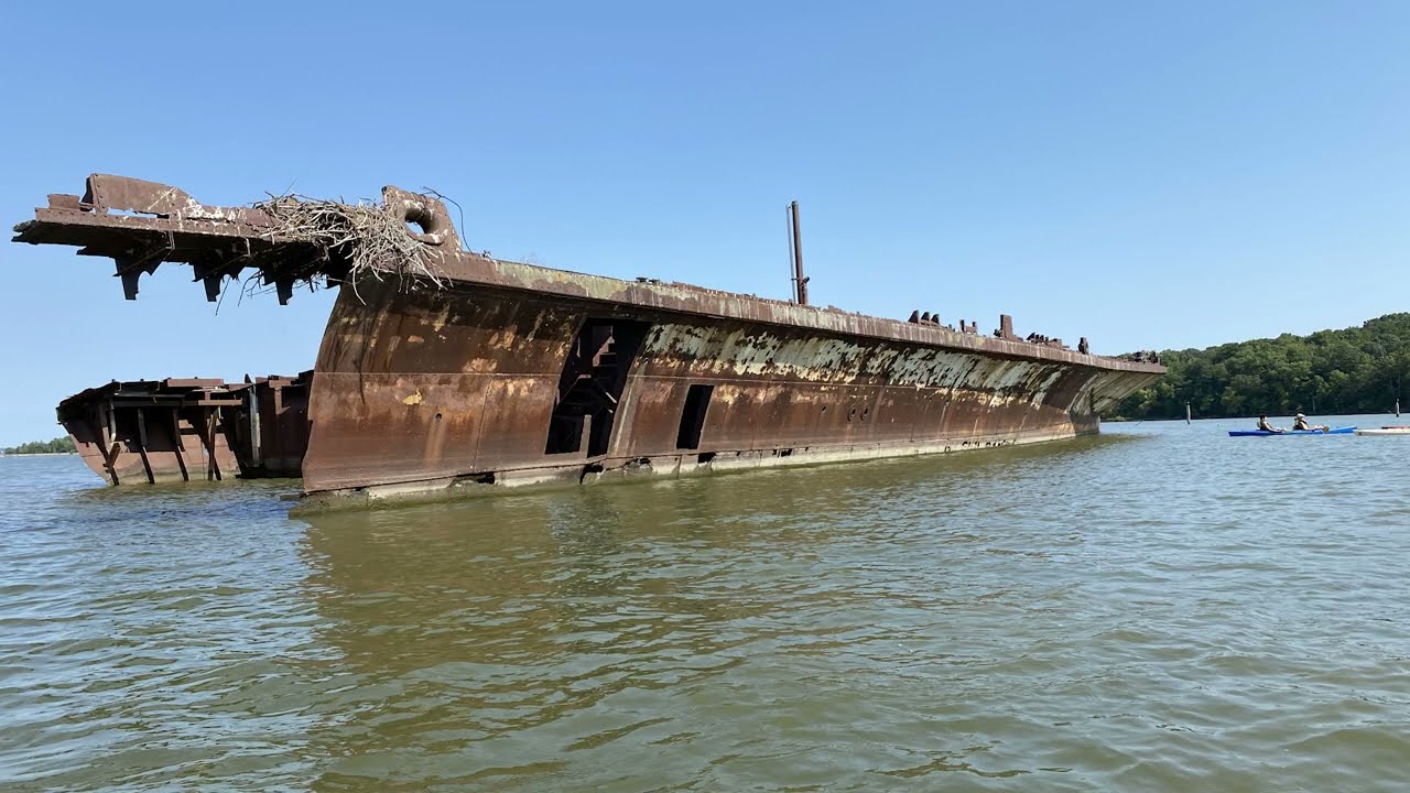 Mallows Bay Ghost Fleet Kayak Tour