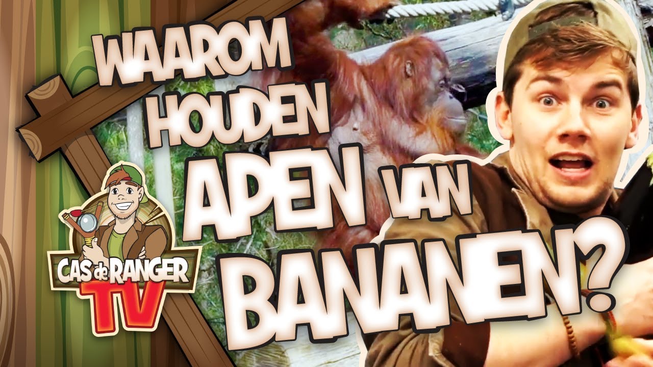 WAAROM HOUDEN APEN VAN BANANEN!? - Cas de Ranger TV #47