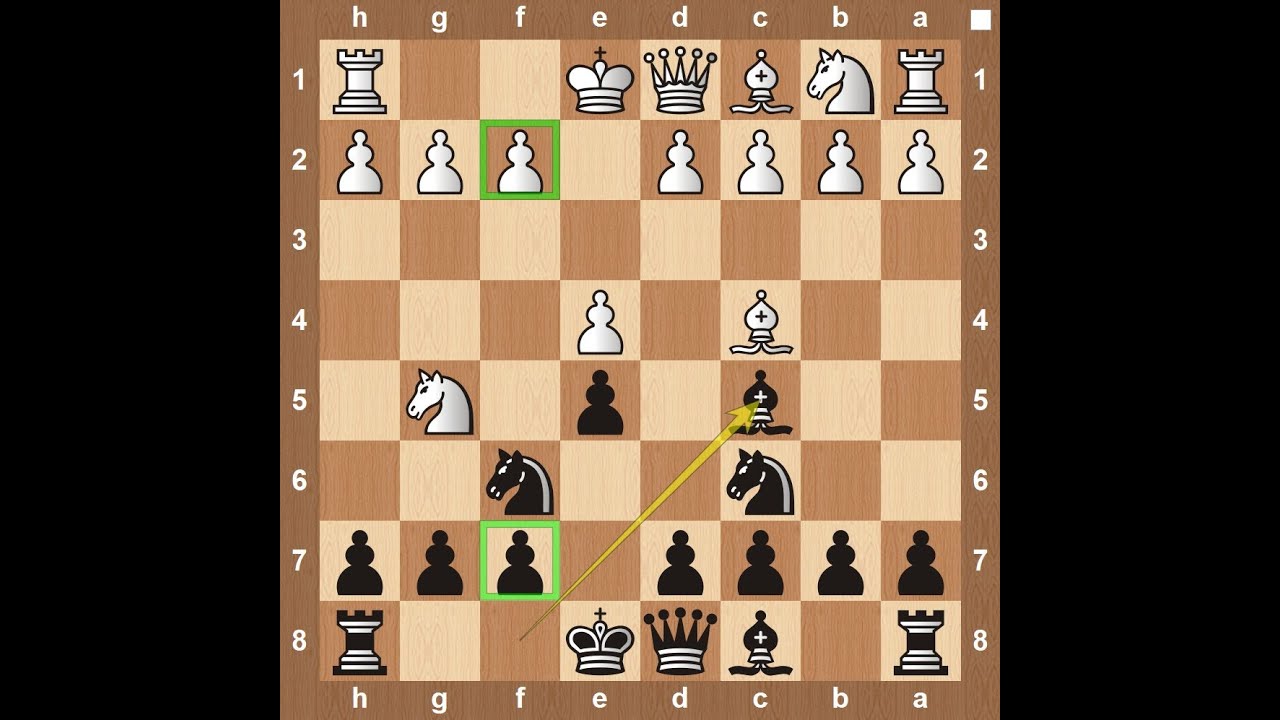 Top 9 Aggressive Chess Defenses