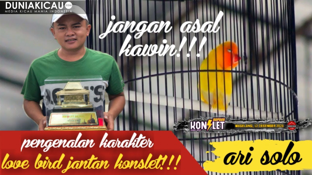 KURANG MAKSIMAL!!! Step By Step JANTAN KONSLET Jangan Asal KAWIN | ARI SOLO
