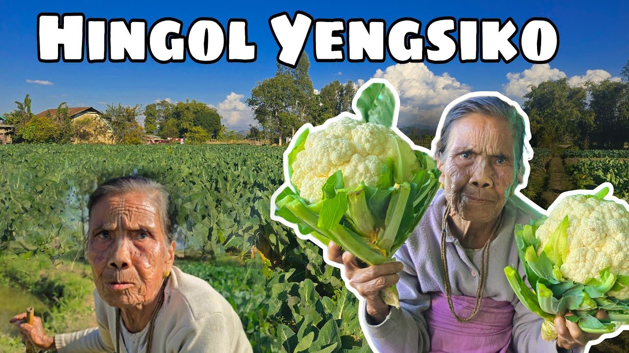 Ngcdi Naboki Hingol Koisiko Esusa 