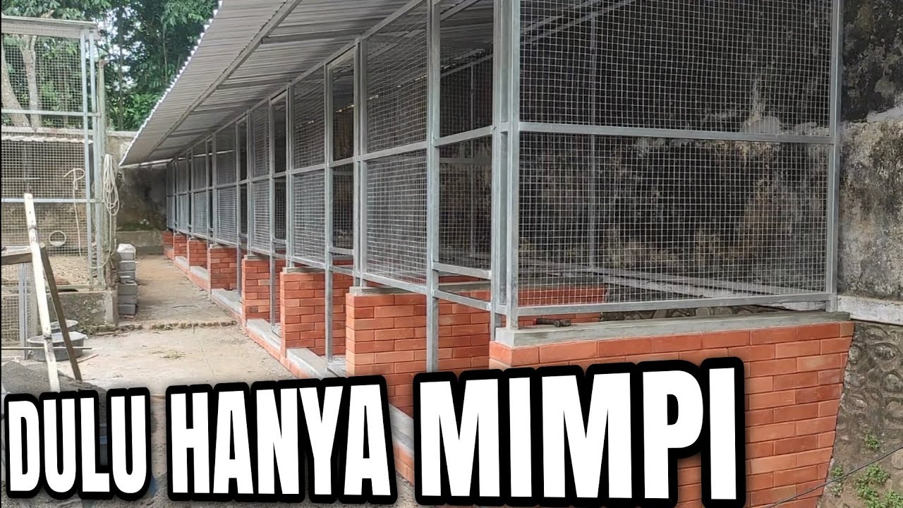 Pelan² Merajut Mimpi Punya Kandang Ayam Idaman.