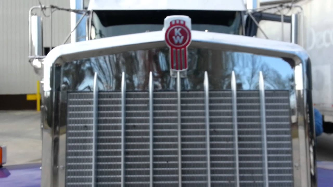 Large Car OTR/Interview with a Wolf