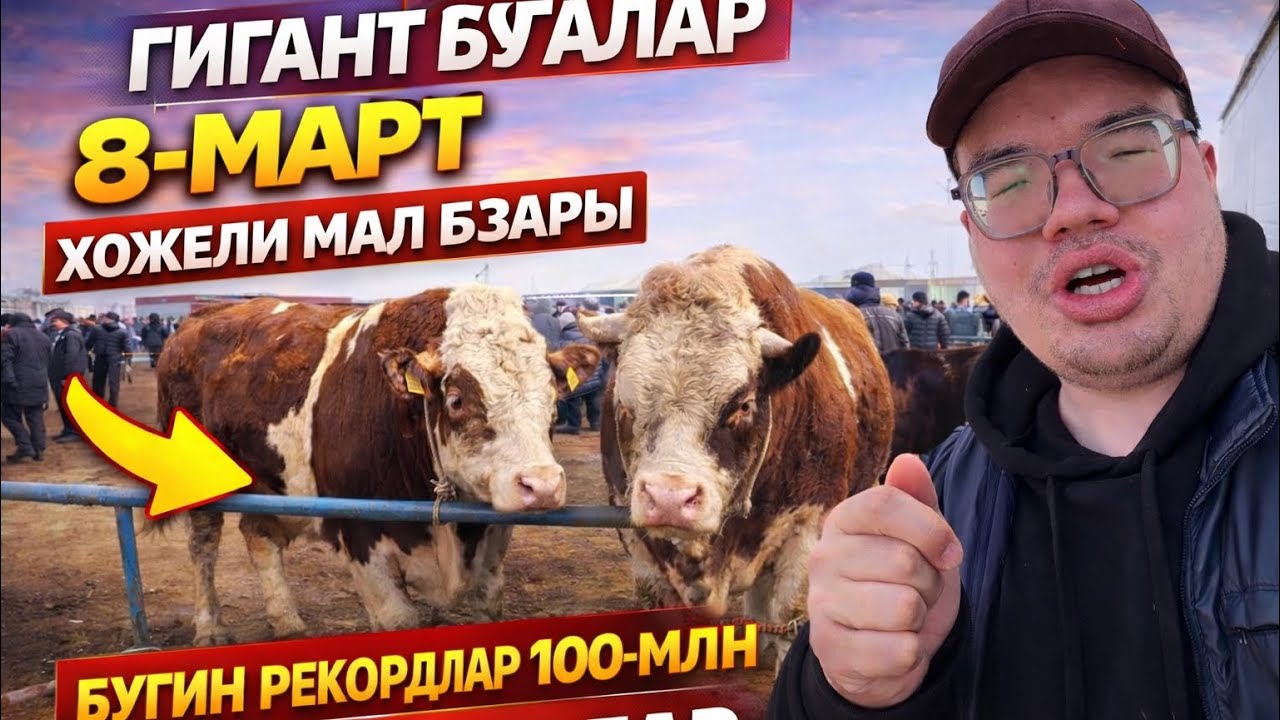 100-МЛН РЕКОРД БУГАЛАР БУГИН ШЫКТЫ 8-МАРТ 2026/ХОЖЕЛИ МАЛ БАЗАР СКОТНЫЙ РЫНОК 