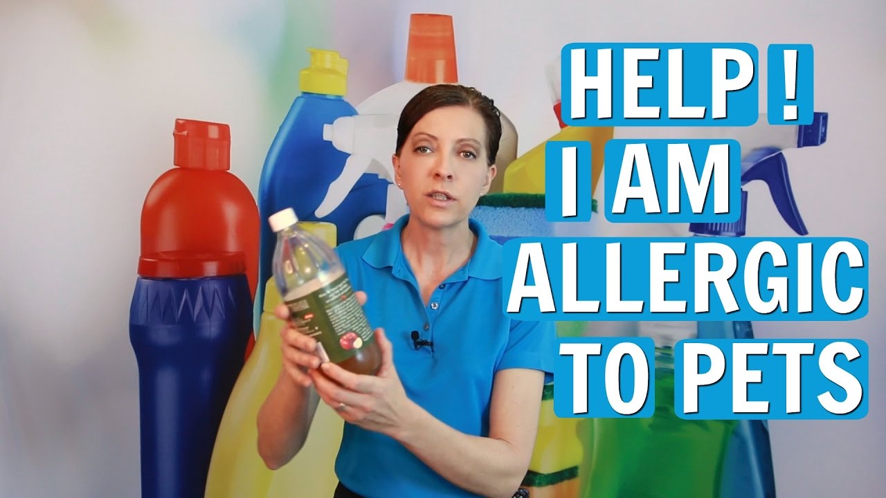 Allergic to Pets - House Cleaners Secrets to Survival