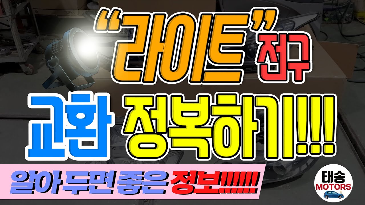 꿀팁~‼ 차종별 