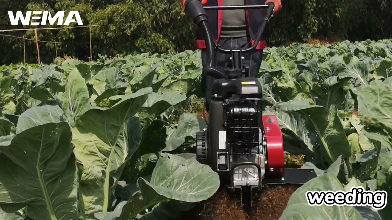 WEIMA LIGHTWEIGHT TILLER, WM450 LATEST UPDATED TYPE- - -WM460