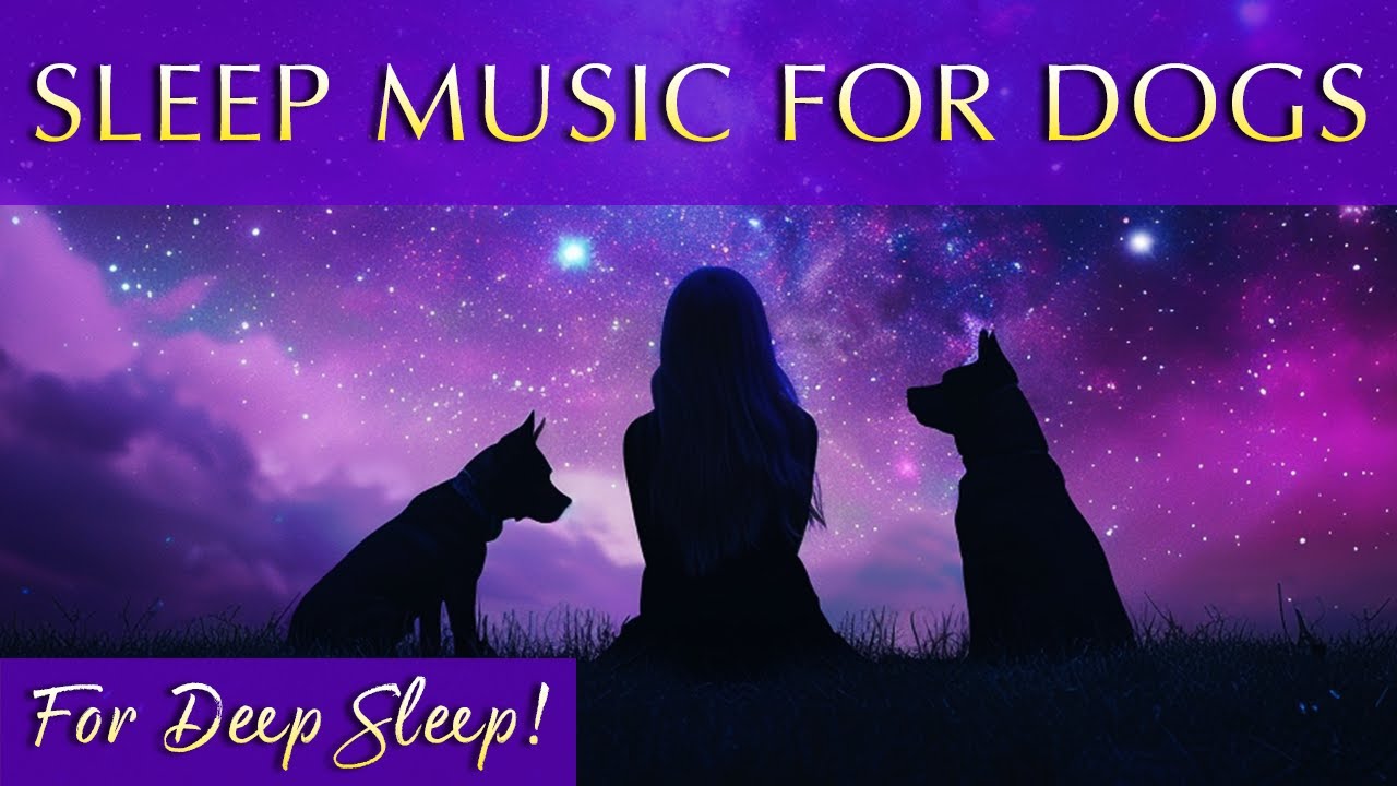 12 Hour Dog Music for Deep Sleep&nbsp;&ndash; 432Hz Relaxation for Anxiety & Comfort