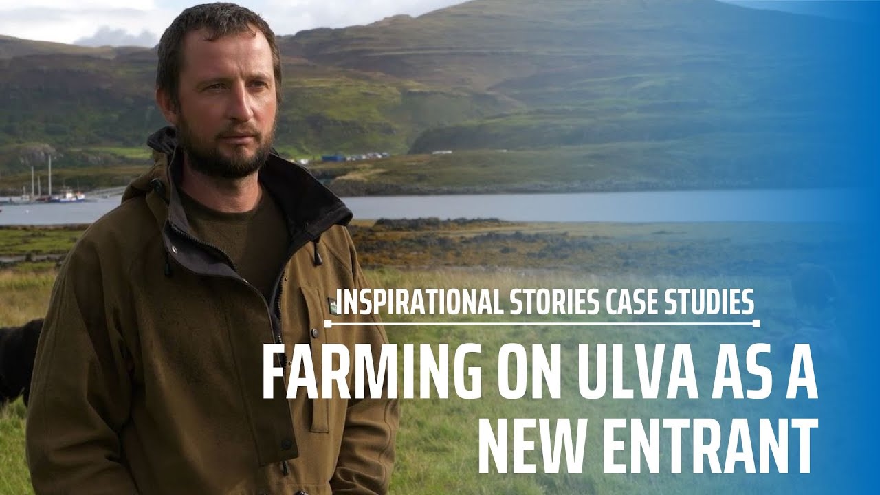 Farming on Ulva as a New Entrant