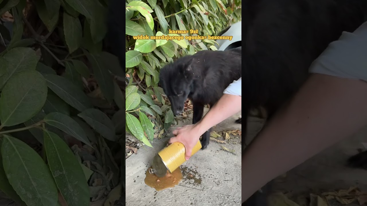 #vlog #polishgirl #albania