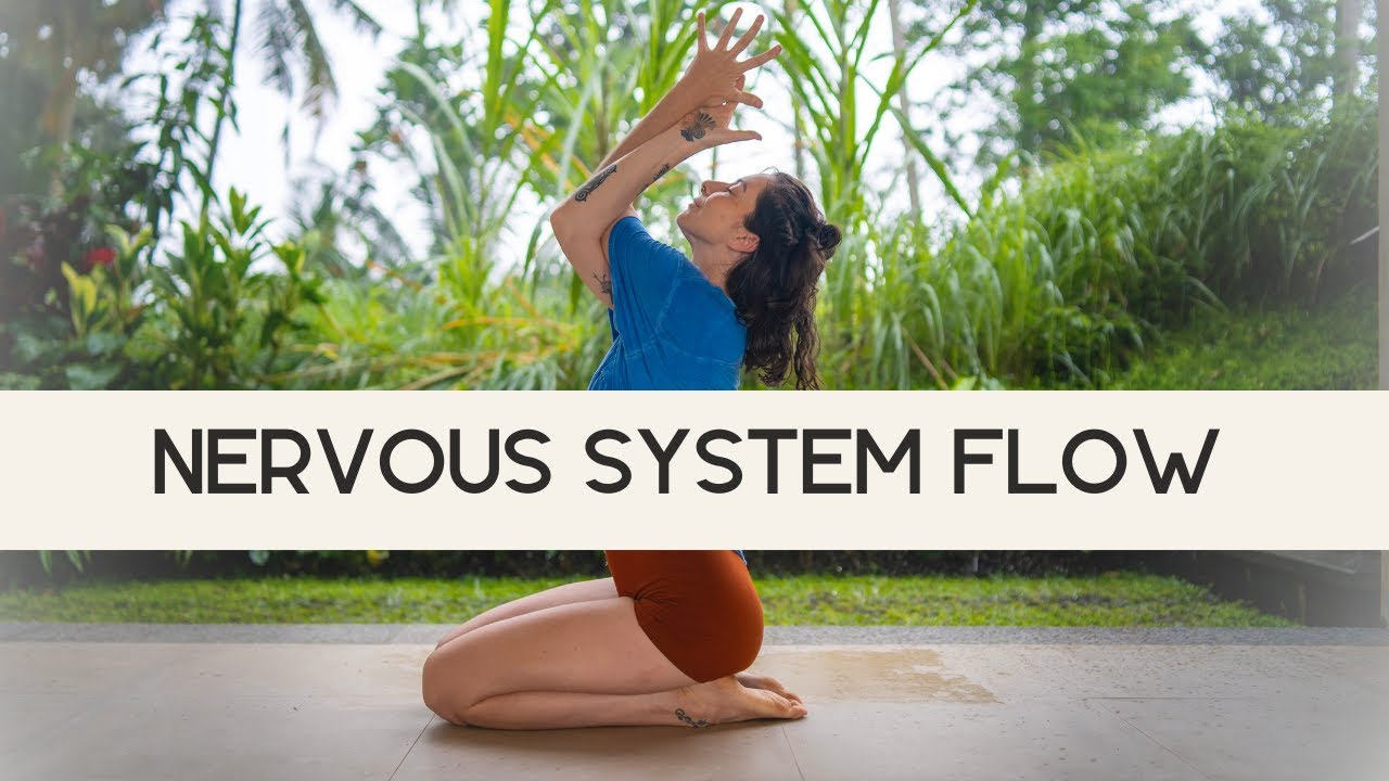 Nervous System & Somatics Yoga Flow 💫 | Holiday Edition