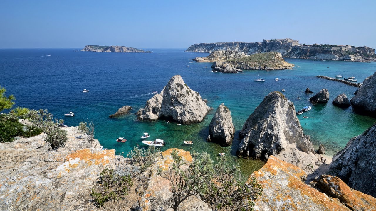 Immersioni diving alle Isole Tremiti