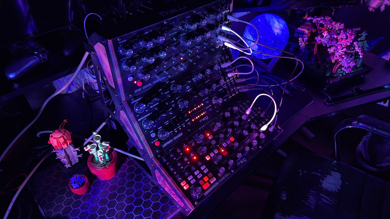 aural maze - moog dfam labyrinth & subharmonicon