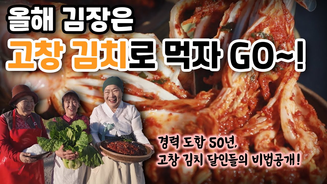 [투데이] 이 배추, 뭐야? 고창 배추로 찐 김장해봄