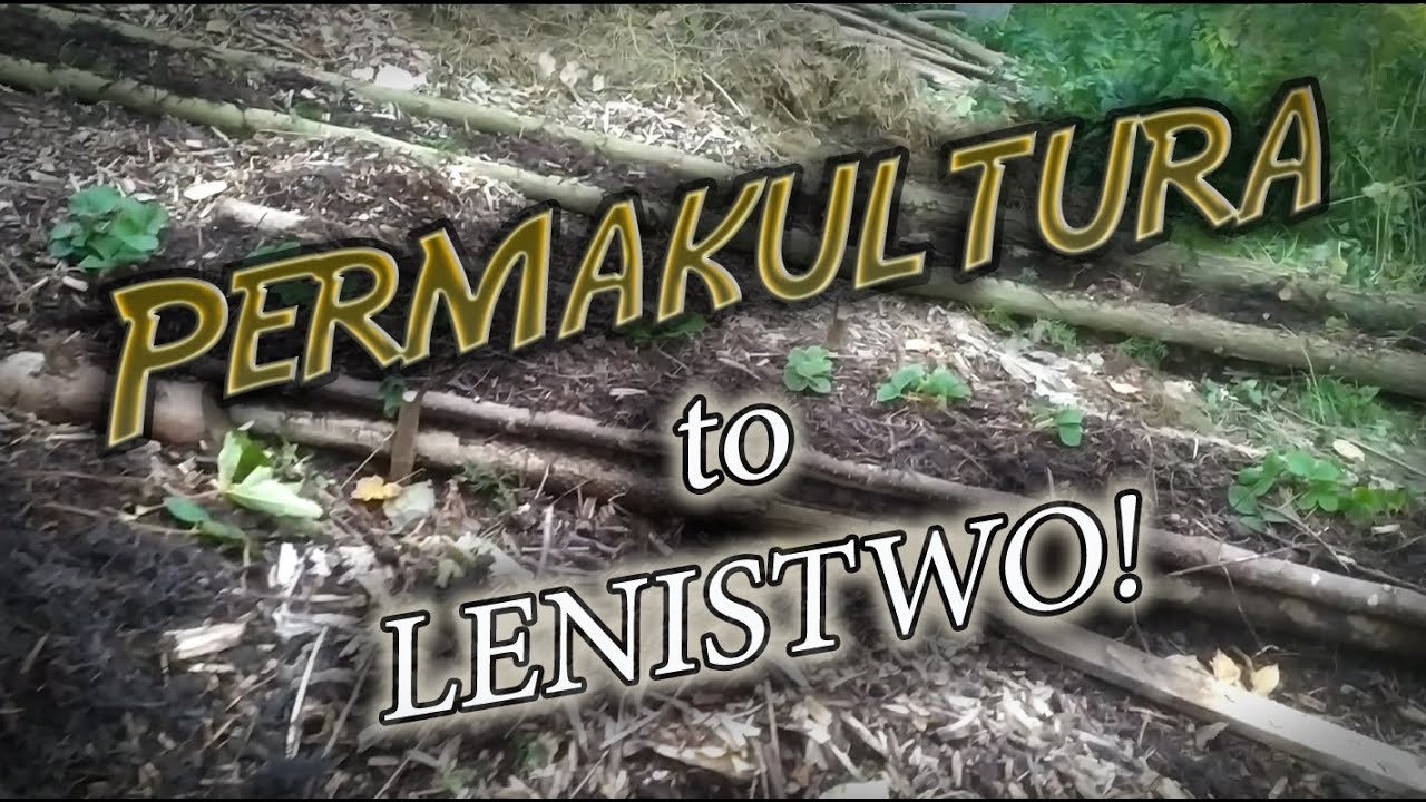 Permakultura - to lenistwo