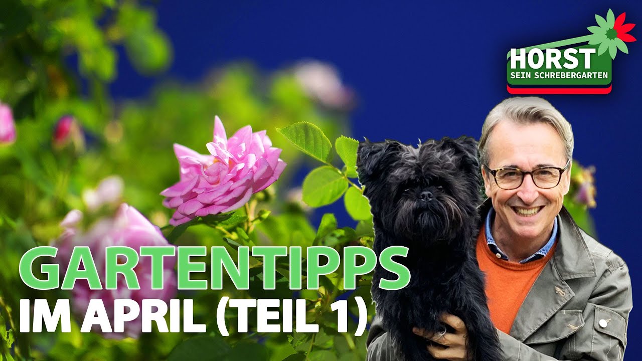 Gartentipps im April (Teil 1) | Kletterrose, Dahlien, Staudenbeet | Horst sein Schrebergarten