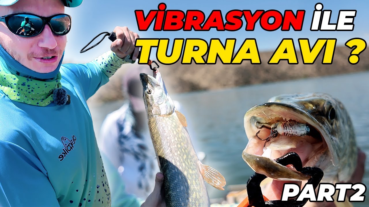 VİBRASYON İLE TURNA AVI NASIL YAPILIR ? 😱 Kırıkkale’de Turna Avı | PART 2