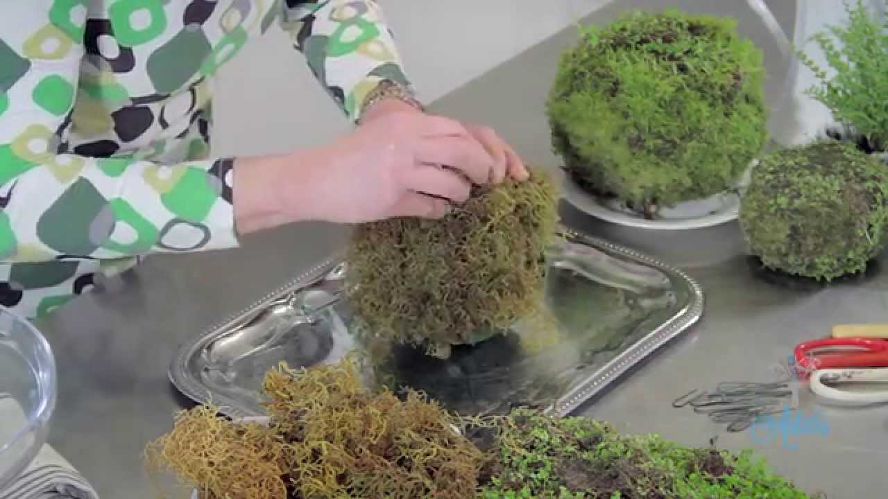 How to Make a Moss Kokedama Ball Floristry Tutorial