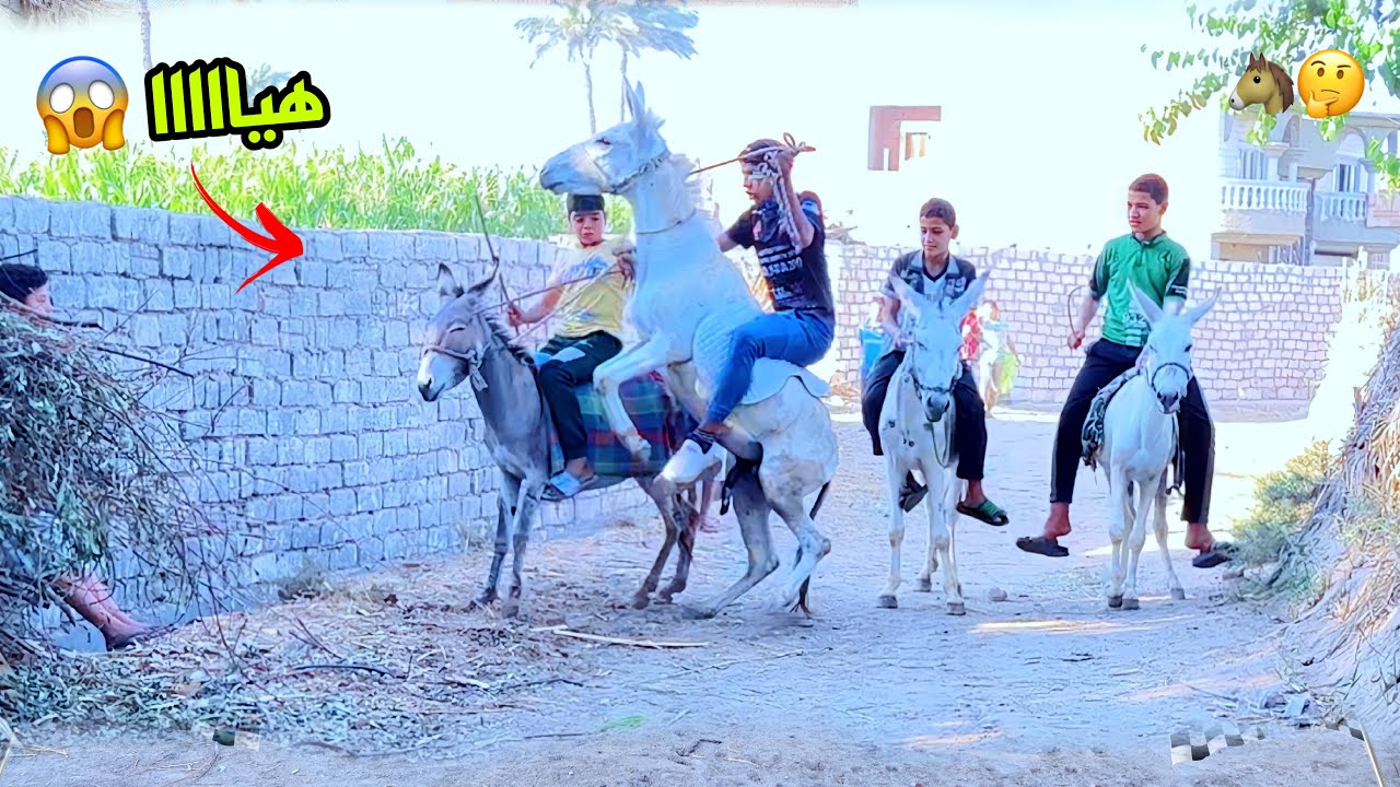 لما تعمل سباق حمير 🐴 انت وابوك واخوك الصغير 🤔😂| علاء حسين