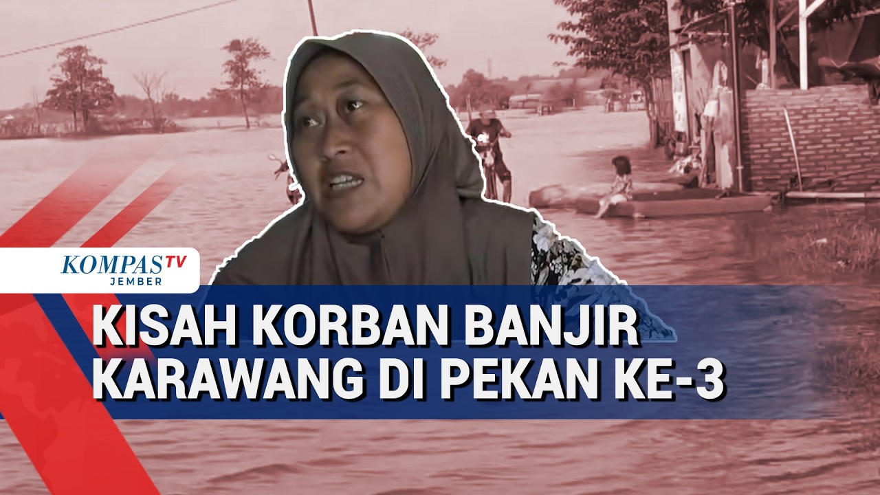 Banjir Karawang Belum Surut Lebih 3 Pekan, Rumah dan Sawah Masih Terendam