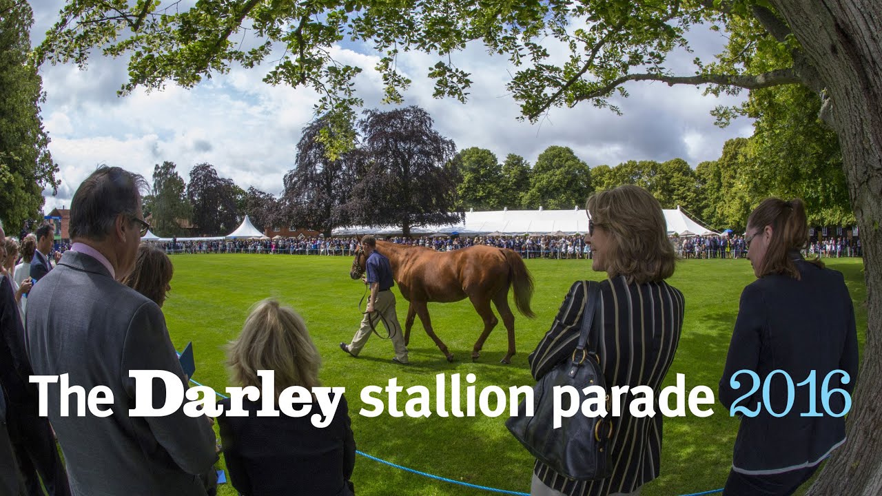 The Darley stallion parade at Dalham Hall Stud, July 2016