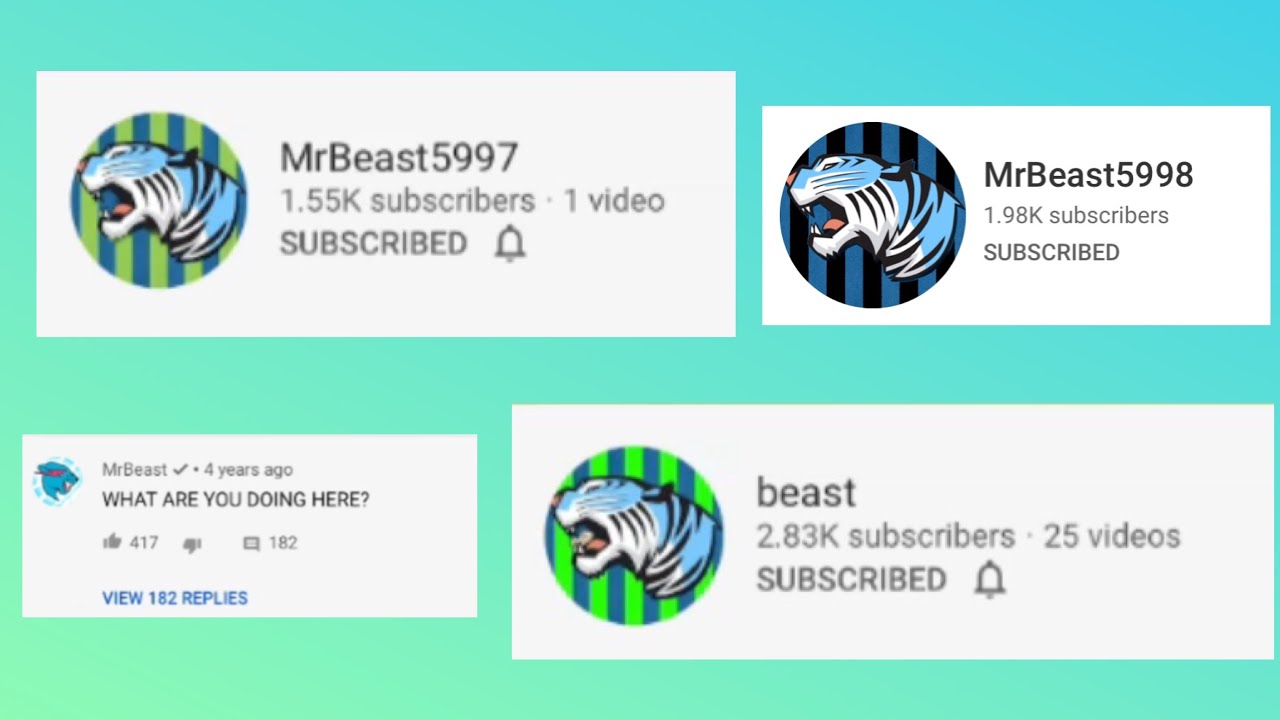MrBeast Has Secret Channels? (proof)